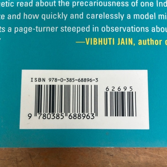 A Great Country by Shilpi Somaya Gowda - Picture 2 of 14